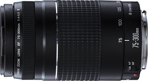 Canon EF 75-300mm 1:4-5.6 II - CeX (IE): - Buy, Sell, Donate